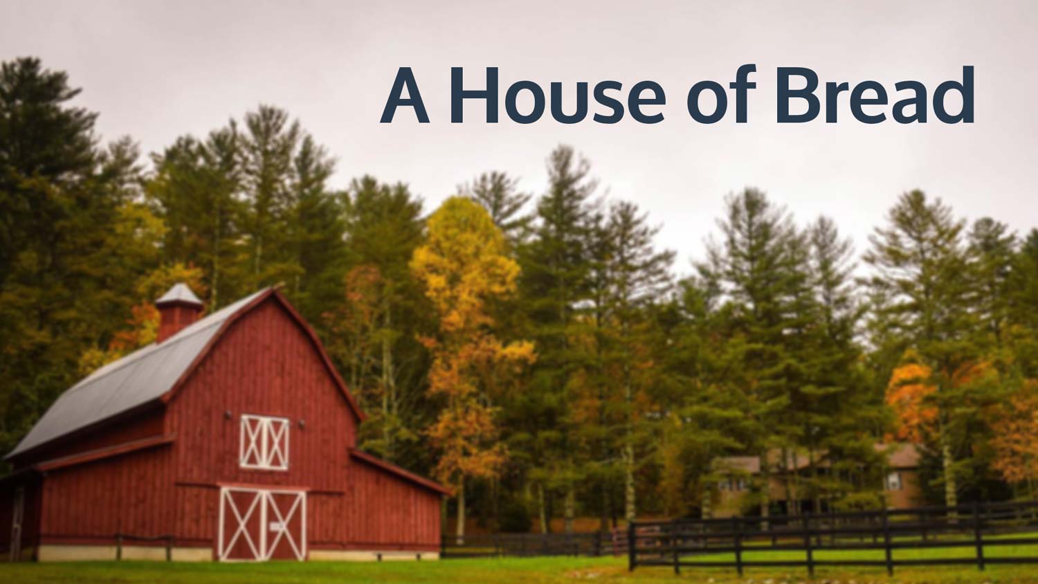 A House of Bread Christian Fellowship