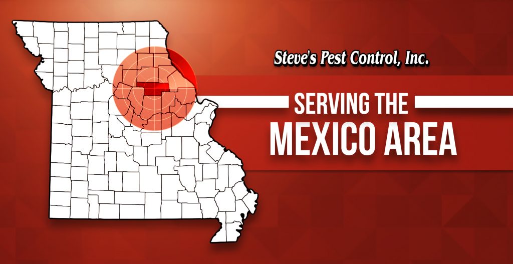 Pest Control in Mexico, Mo Steve's Pest Control