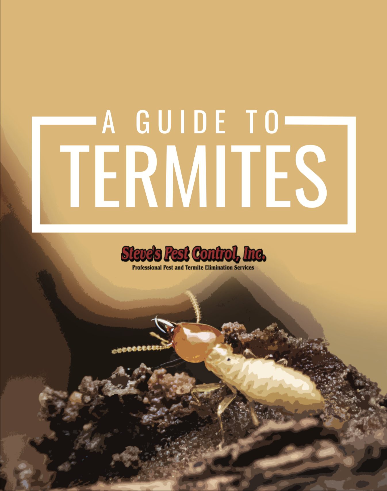 Download Our Termite Guide Steve's Pest Control