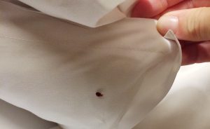 Bed bugs are small but can be seen crawling on bed sheets.