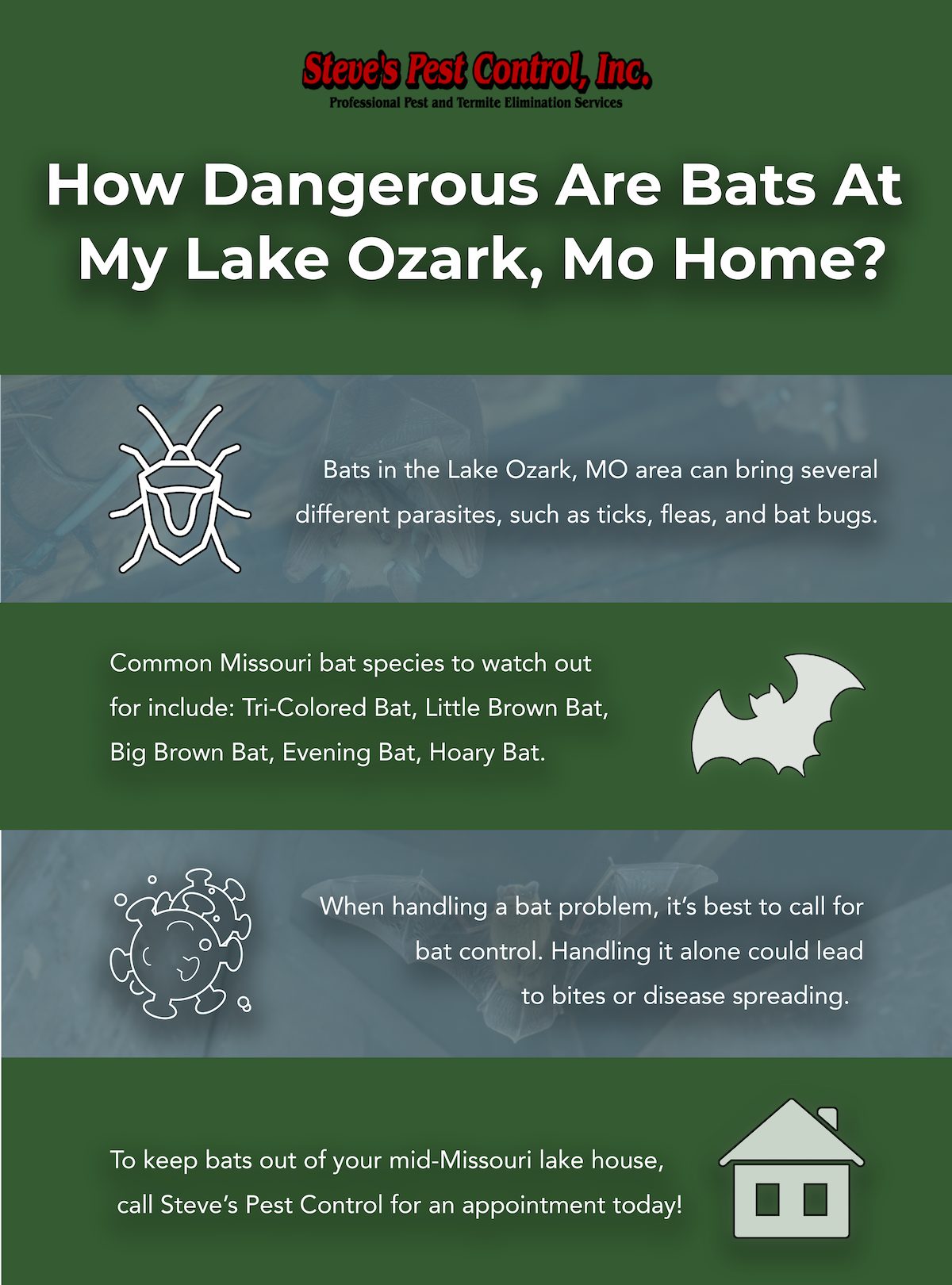Bat Problems in Lake Ozark, MO Steve's Pest Control